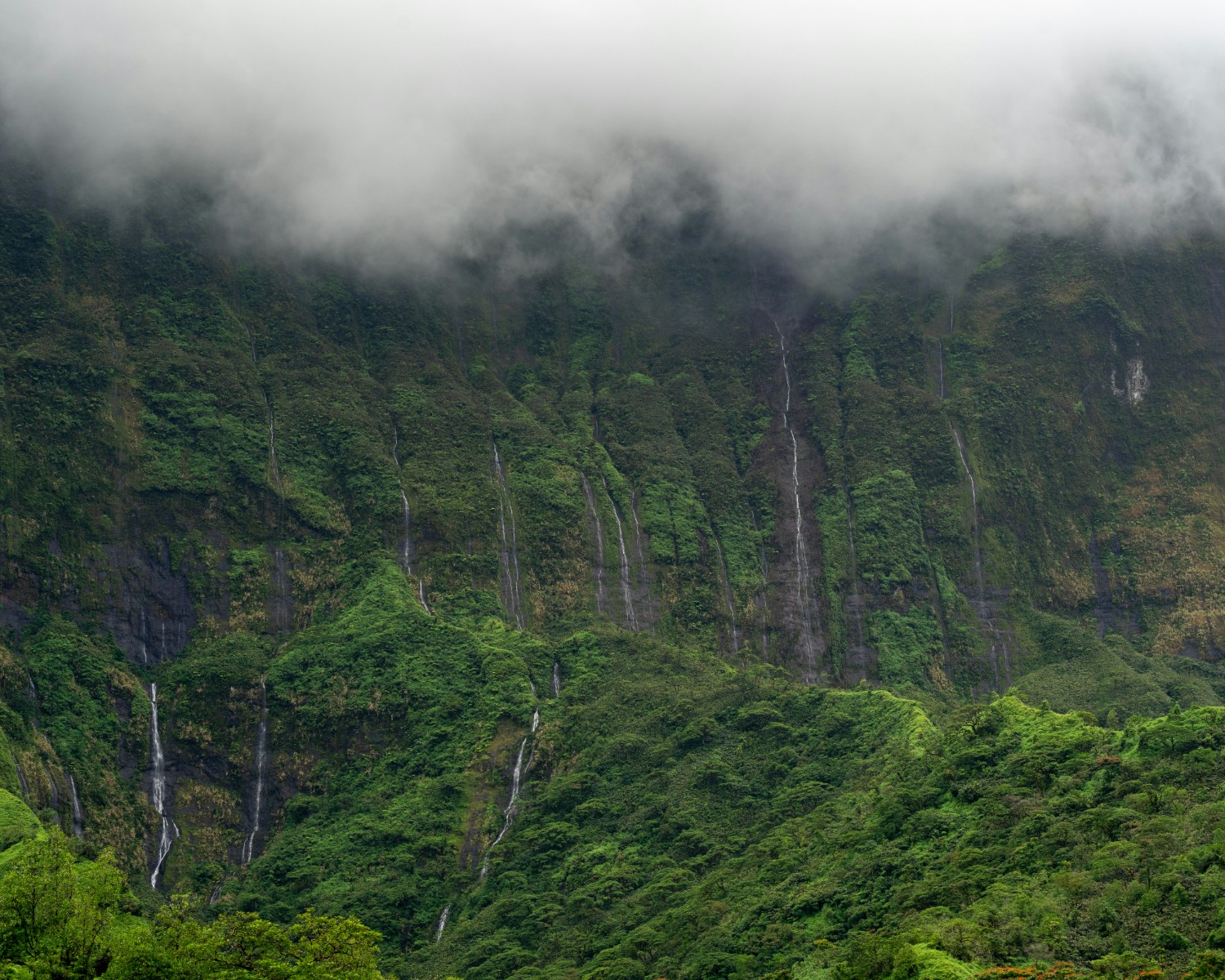 Seven Sisters Falls cascading through monsoon mist