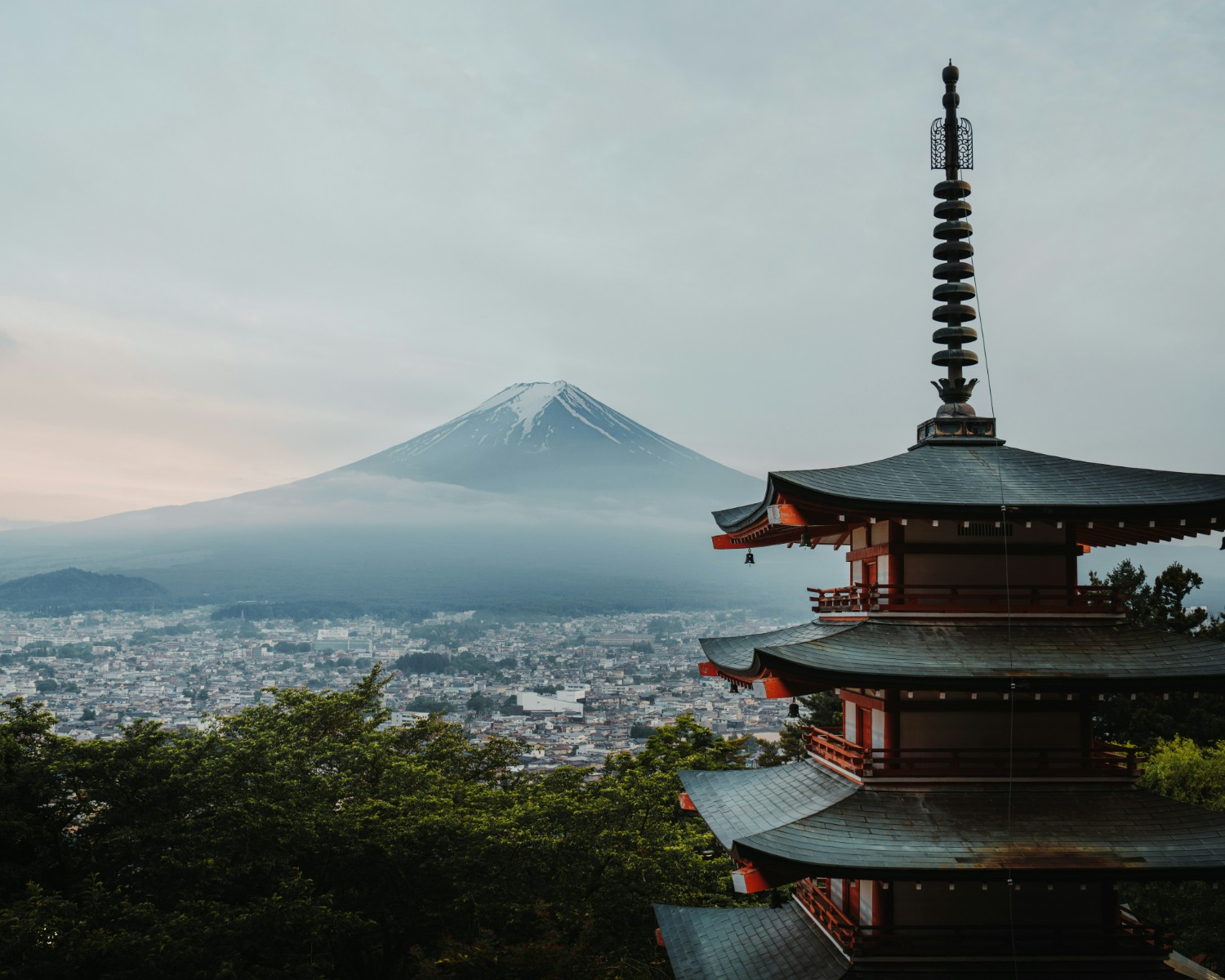 Mount Fuji with cherry blossoms at Chureito Pagoda