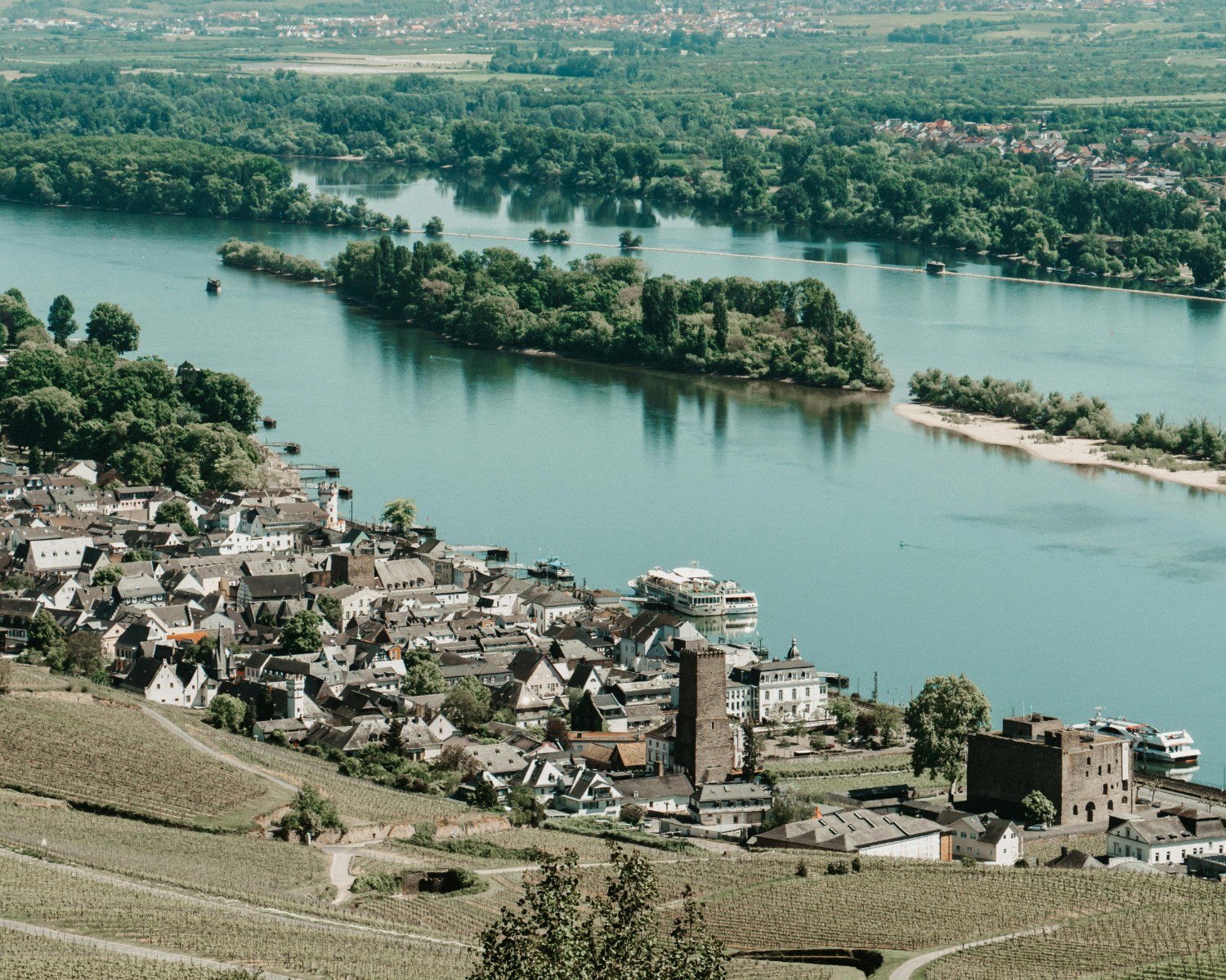Rhine Valley castles perched on misty cliffs