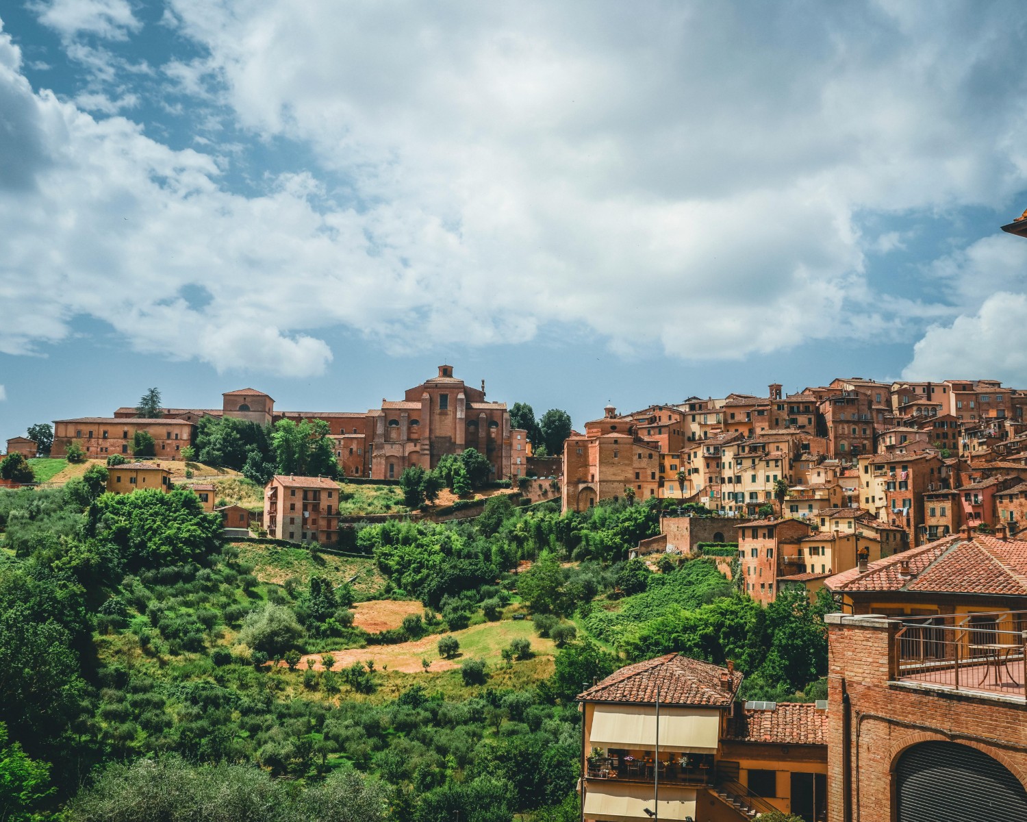 Tuscan countryside with cypress trees, vineyards, and rolling golden hills