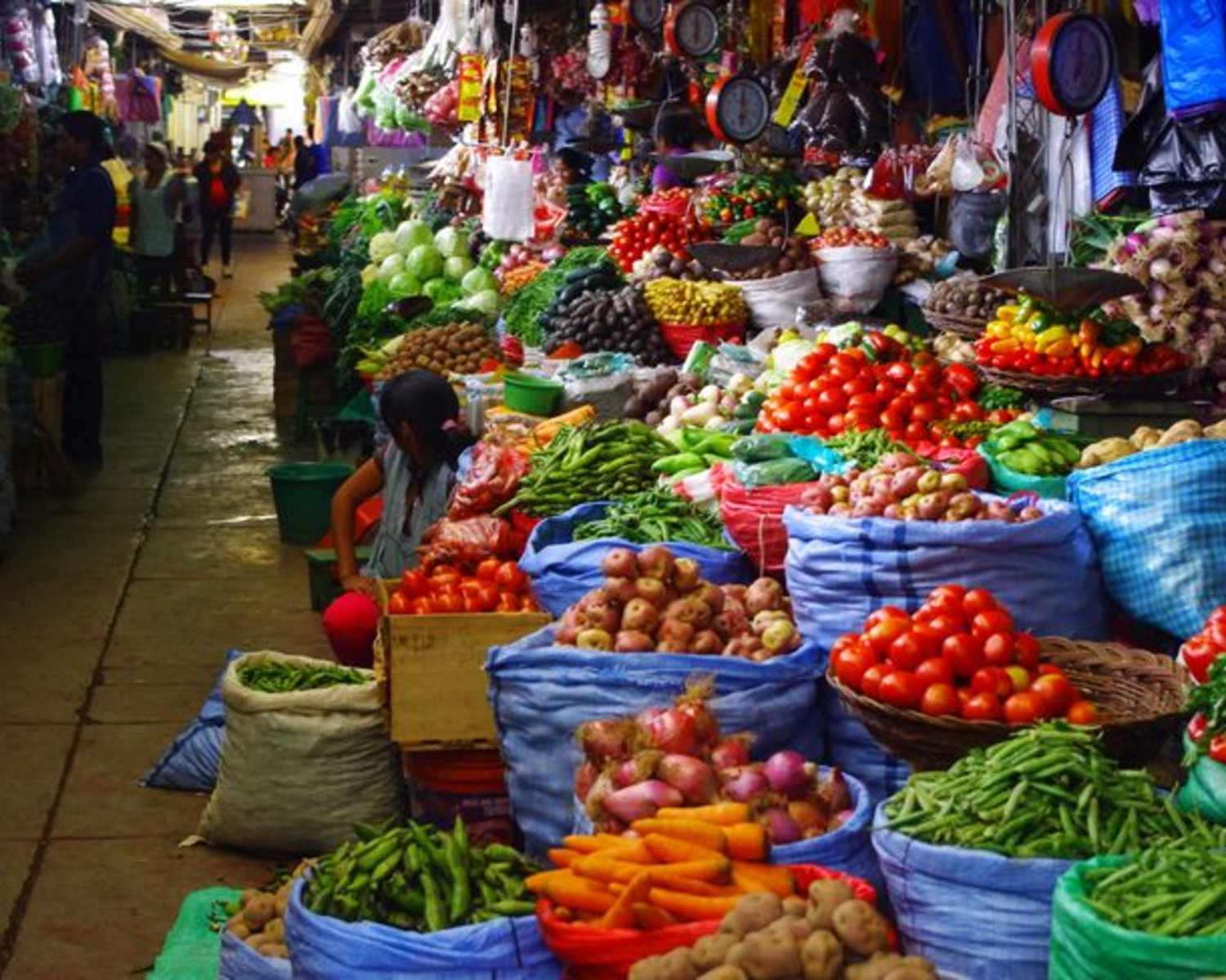 Green Bazaar's vibrant marketplace